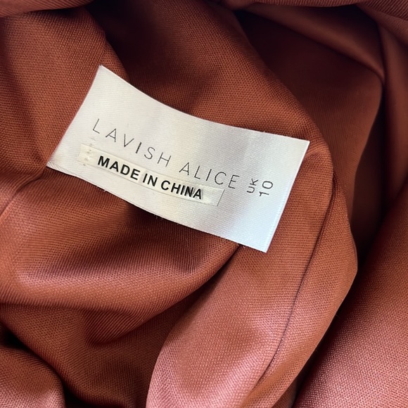 NWOT Lavish Alice Brown High Neck Cropped Bodycon Midi Dress (US 6) - Picture 8 of 11